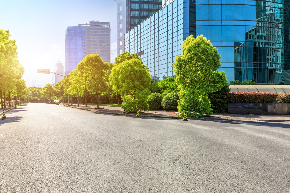 calles de ciudad con arboles bien cuidados