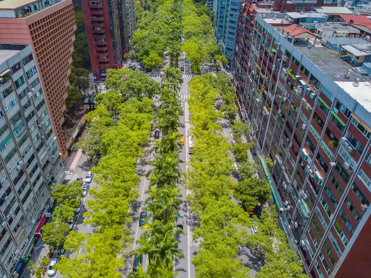 vista aerea de ciudad poblada de arboles