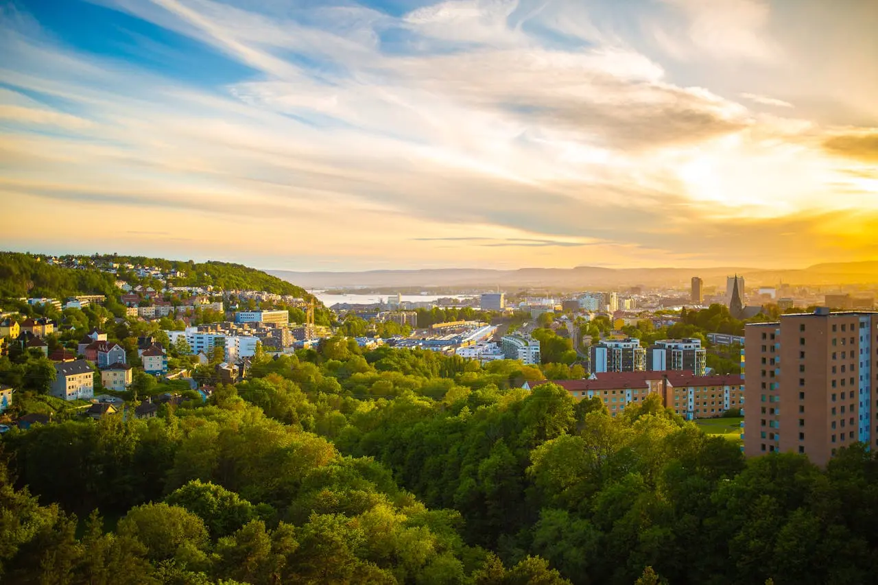 Vista de una ciudad rodeada de árboles, ejemplo de cómo los árboles ayudan frente al cambio climático en zonas urbanas