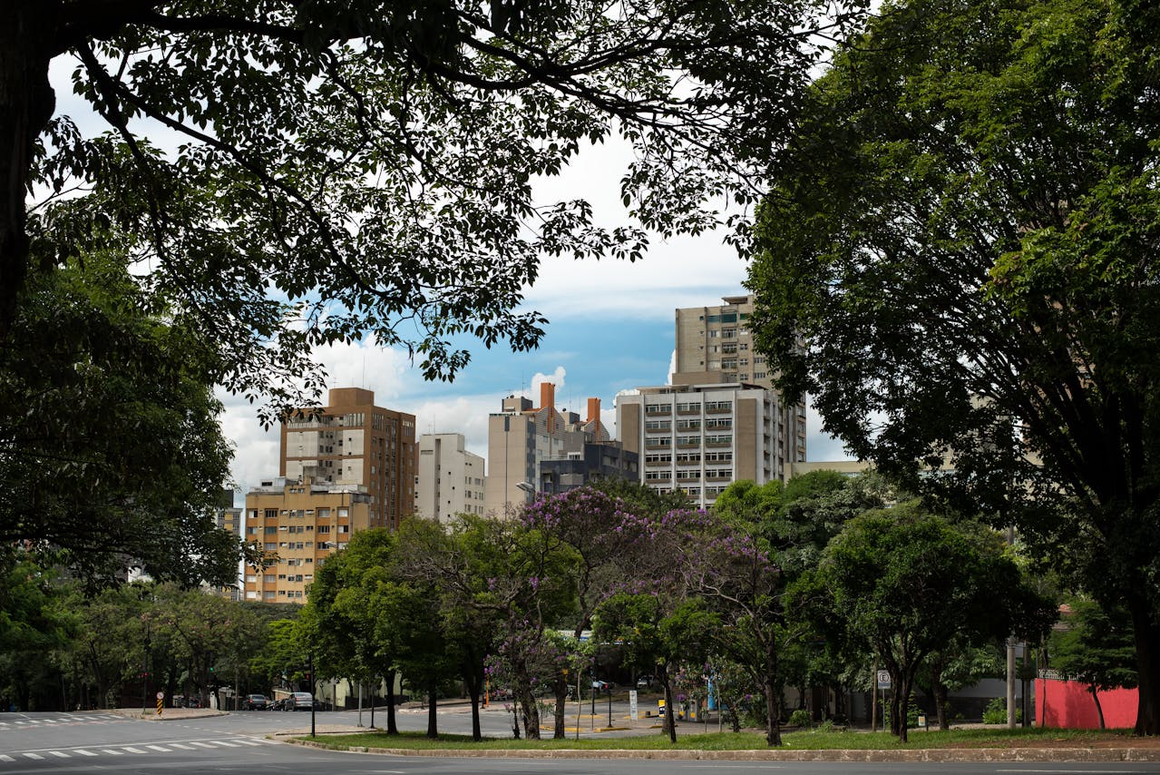 beneficios del arbolado urbano